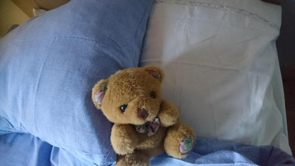 Bed and Breakfast Bo I Remmarloev Eslöv Zewnętrze zdjęcie